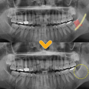 울산남구치과 원장님 약력